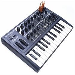 Arturia MicroBrute - фото 48167