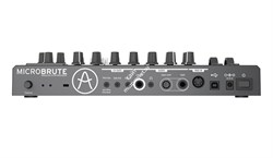 Arturia MicroBrute - фото 48168