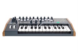 Arturia MiniBrute 2 - фото 48175