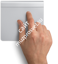 Apple (MC380) Magic Trackpad - фото 53816