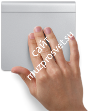 Apple (MC380) Magic Trackpad - фото 53817