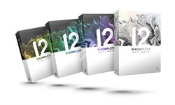 Native Instruments Komplete 12 Ultimate Collectors Edition UPG (K8U-K12U) - фото 57348