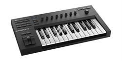 Native Instruments KOMPLETE KONTROL A25 - фото 57372