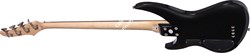 AND DCB RAV/Andromeda Opaque Bass Raven W/bag/LUNA - фото 59843