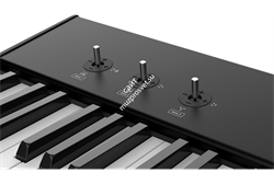 Studiologic SL73 Studio - фото 60648