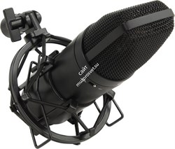 Tascam TM-180 - фото 61106