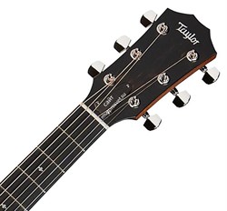 TAYLOR 324 300 Series, гитара акустическая, форма корпуса Grand Auditorium, кейс - фото 64465