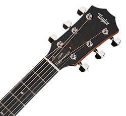 TAYLOR 324e 300 Series, гитара электроакустическая, форма корпуса Grand Auditorium, кейс - фото 64469