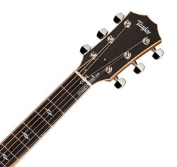 TAYLOR 814e 800 Series, гитара электроакустическая, форма корпуса Grand Auditorium, кейс - фото 64654