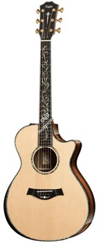 TAYLOR PS12ce Presentation Series, гитара электроакустическая, форма корпуса Grand Concert, кейс - фото 64747