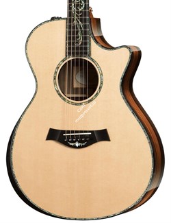 TAYLOR PS12ce Presentation Series, гитара электроакустическая, форма корпуса Grand Concert, кейс - фото 64748