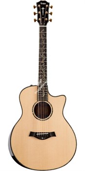 TAYLOR PS16ce Presentation Series, гитара электроакустическая, форма корпуса Grand Symphony, кейс - фото 64759