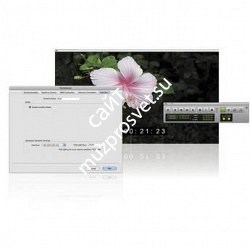 AVID Video Satellite LE программа синхронизации рабочих станции - фото 67148
