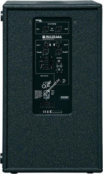 HK AUDIO PR:O 210 Sub A Активный 2 x 10' сабвуфер, 101 дБ, усилительный модуль D класса 600 Вт, SPL max 123 дБ - фото 67264