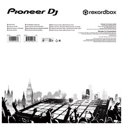 PIONEER RB-VD1-W Тайм-код пластинки для rekordbox DVS, белые (пара) - фото 68258