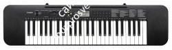 CASIO CTK-245, cинтезатор 49 клавиш, работает от батареек, поставляется без адаптера питания (AD-E95100LG) - фото 69483