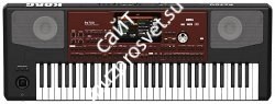 KORG PA700 профессиональная аранжировочная станция, 61 клавиша. - фото 74600