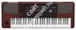 KORG PA1000 профессиональная аранжировочная станция, 61 клавиша. - фото 74626