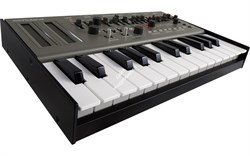 ROLAND SH-01A Boutique синтезатор - фото 75144