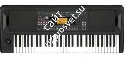 KORG EK-50 синтезатор с автоаккомпаниментом 61 клавиша, полифония 64 голоса, подставка для нот - фото 76898