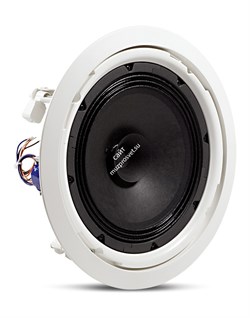 JBL 8128 8' трансформаторная акустическая система, 25Вт/8 Ом, 6Вт@70В, 50Гц-16кГц, чувствительность 97дБ, 287 x 105 мм, 1.4кг - фото 82955