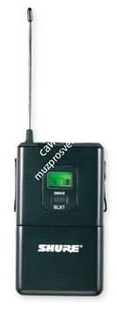 SHURE SLX14E Q24 736 - 754 MHz профессиональная радиосистема с портативным поясным передатчиком SLX1 - фото 93371