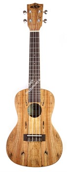 KALA KA-SMC Kala Spalted Maple Concert Ukulele укулеле, форма корпуса - концерт, клён - фото 96907