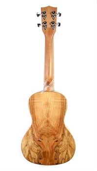 KALA KA-SMC Kala Spalted Maple Concert Ukulele укулеле, форма корпуса - концерт, клён - фото 96909