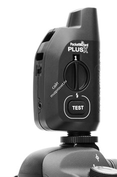 Радиосинхронизатор PocketWizard PlusX - фото 98966