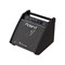 Roland PM-100 - монитор для V-Drums, 80 Вт - фото 120798
