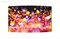 55" Профессиональный OLED дисплей LG  55EF5E - фото 148118