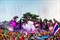 SMOKEBUBBLE BLASTER
                Машина для создания мыльных пузырей SMOKEBUBBLE BLASTER
Профессиональная машина для создания мыльных пузырей. Производительность 6000 пузырей в минуту. Возможно создание дымонаполненных пузырей. Встроенный генератор дым - фото 191890