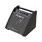 Roland PM-100 - монитор для V-Drums, 80 Вт - фото 23882
