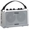 ROLAND MOBILE-BA - компактный комбо - фото 24245