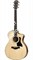 TAYLOR 114ce 100 Series, гитара электроакустическая, форма корпуса Grand Auditorium, мягкий чехол - фото 75283