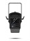 CHAUVET-PRO Ovation F-915FC светодиодный прожектор направленного света с линзой френеля 89х3Вт - фото 76589