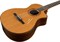 TAYLOR JMSM Signature Series, Nylon, гитара электроакустическая классическая, форма корпуса Grand Concert, кейс - фото 92551